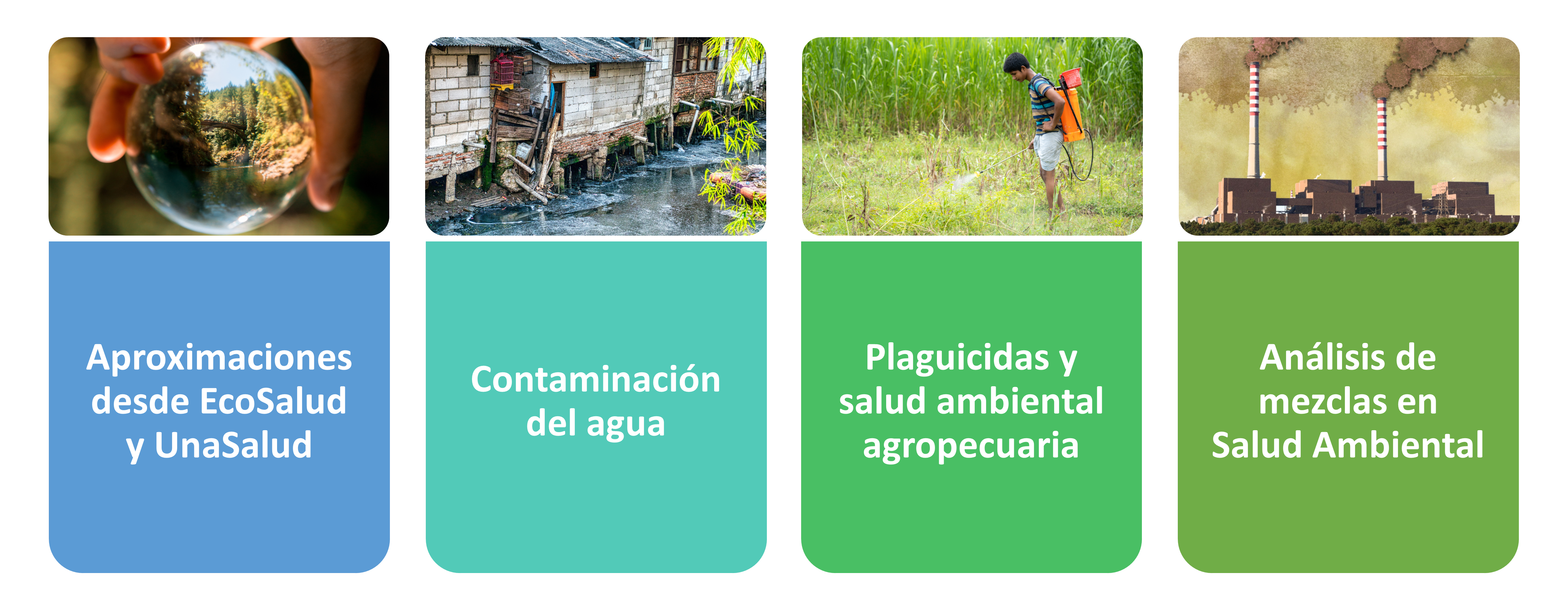 II encuentro de Jóvenes Investigadores en Salud Ambiental