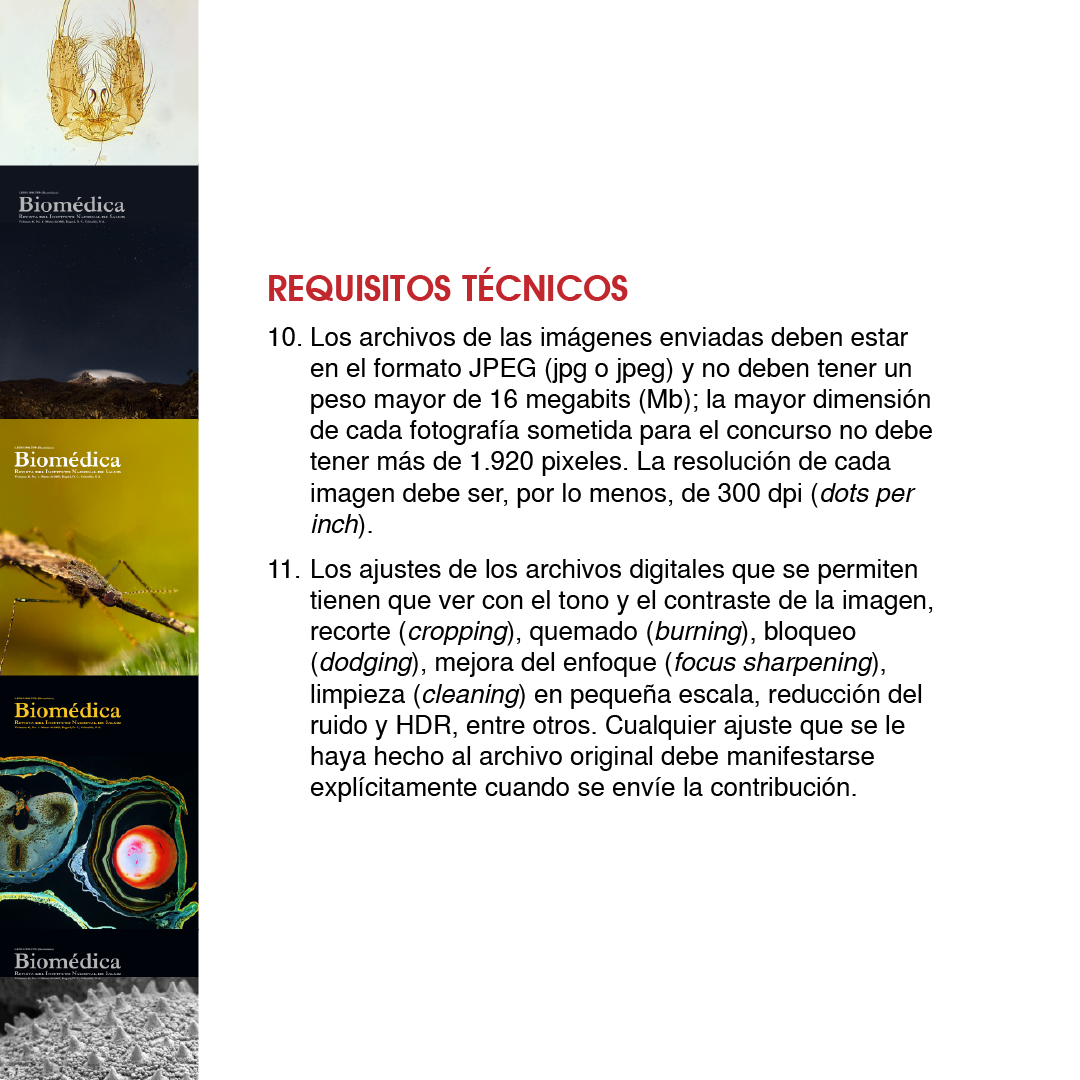 Piezas Convocatoria Fotografía Biomédica 2025_español (4).png