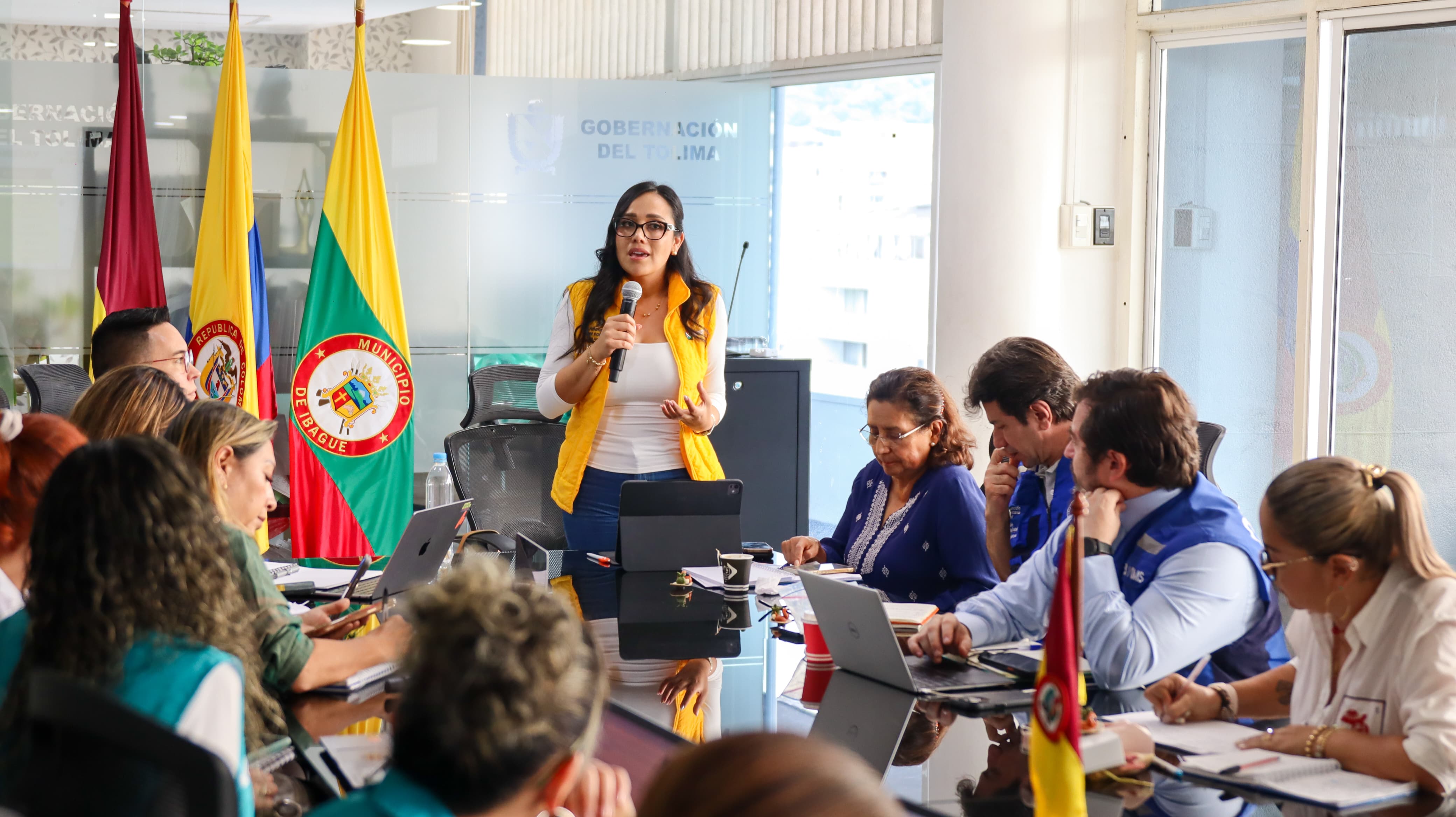 Reunión gob, secretaría y OPS.jpeg