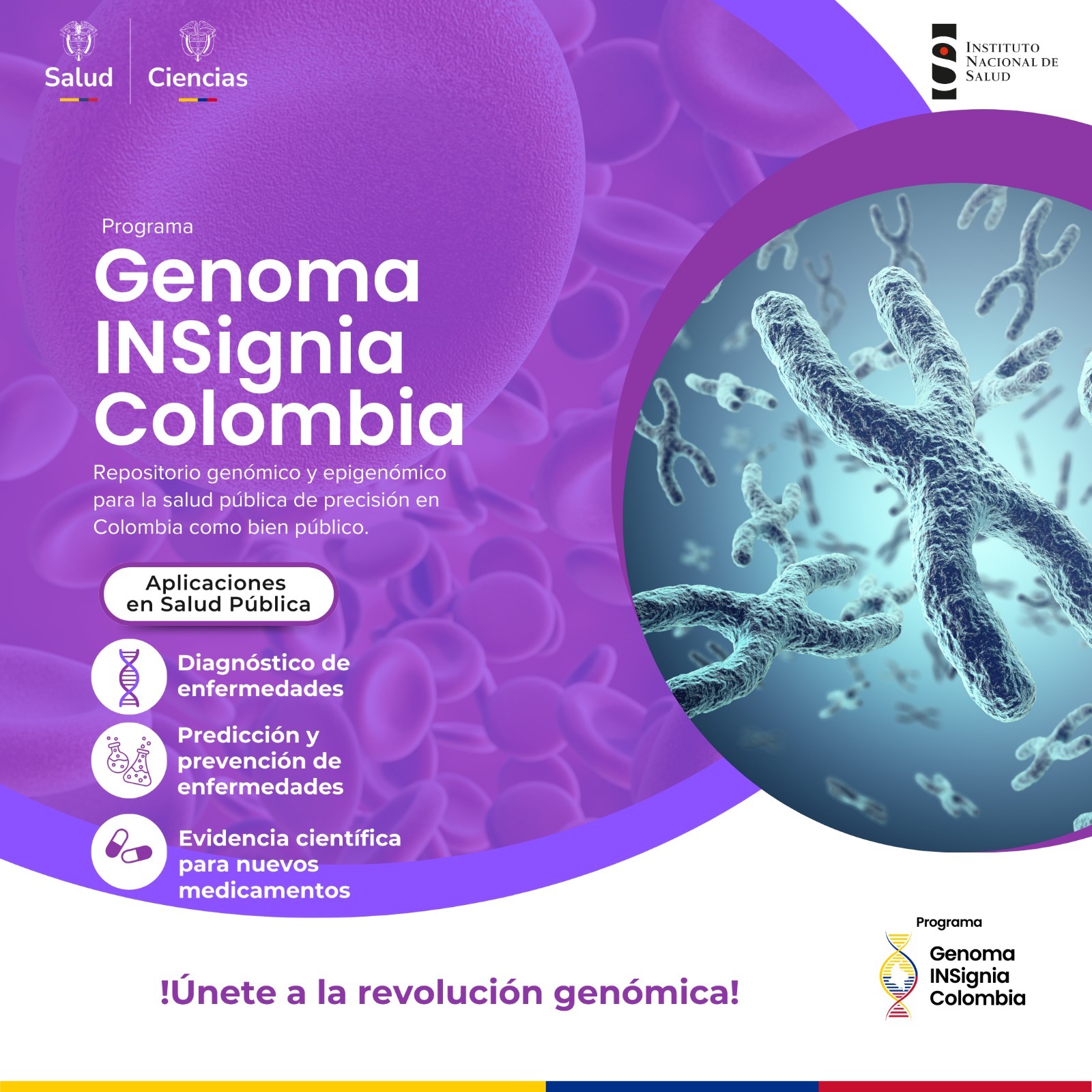 WhatsApp Image 2024-12-10 at 1.44.38 PM (1).jpeg