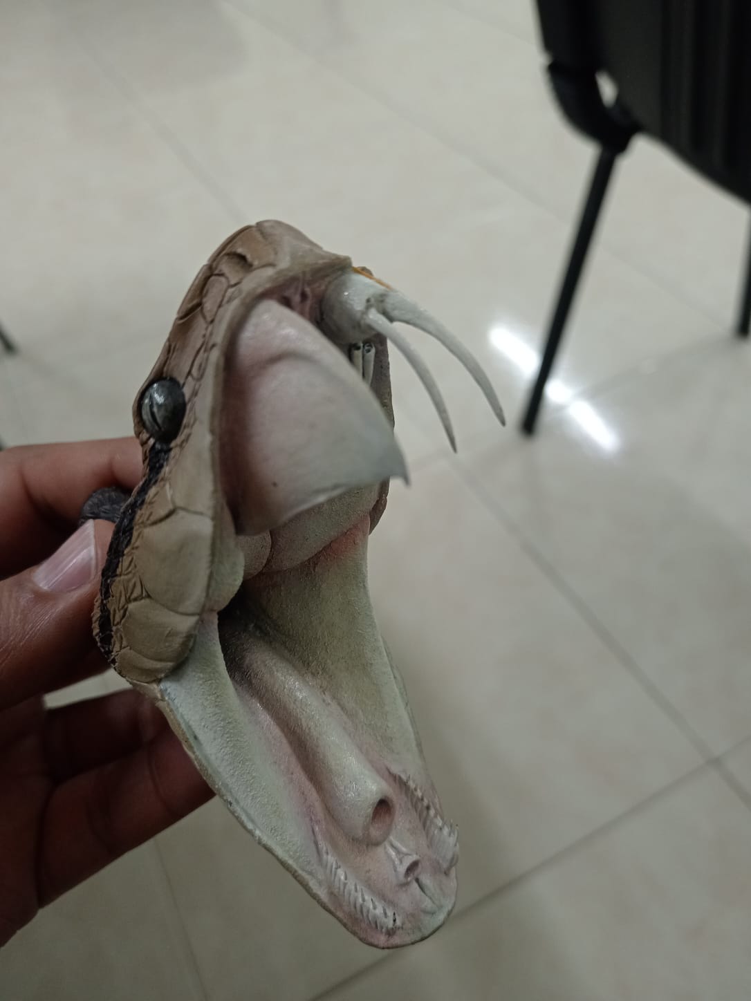 WhatsApp Image 2025-05-21 at 7.56.26 PM (1).jpeg