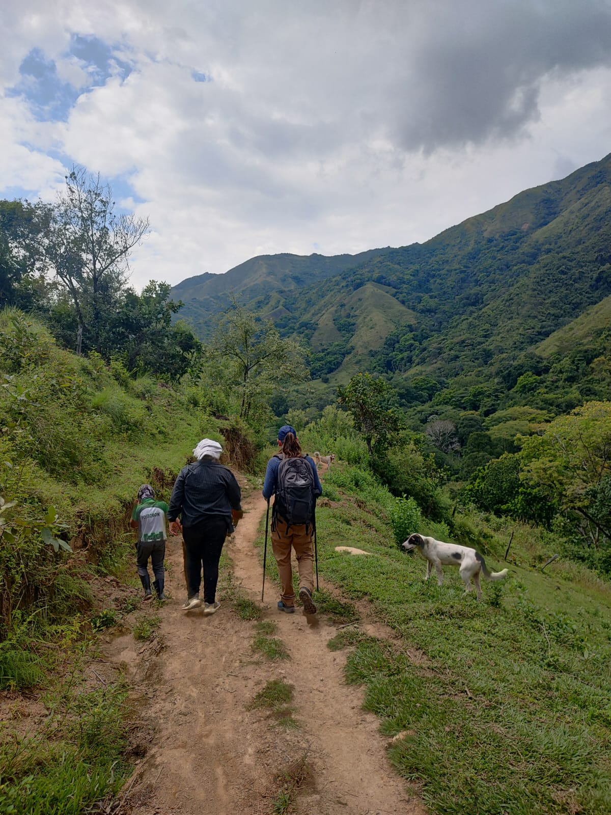 WhatsApp Image 2026-01-31 at 8.26.38 AM (5).jpeg