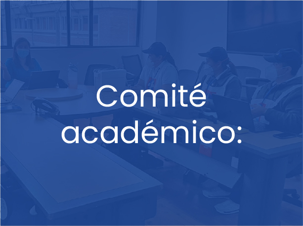 Comité académico